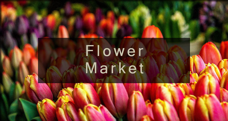 /product_images/uploaded_images/banner-flower-market.jpg
