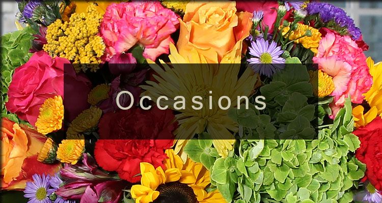 /product_images/uploaded_images/banner-occasions.jpg