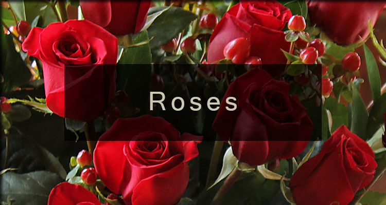 /product_images/uploaded_images/banner-roses.jpg