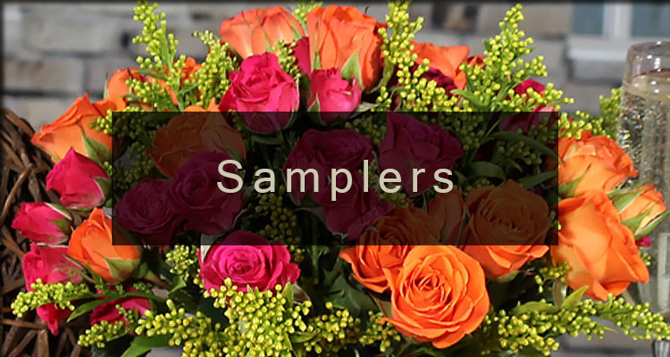 /product_images/uploaded_images/banner-samplers.jpg