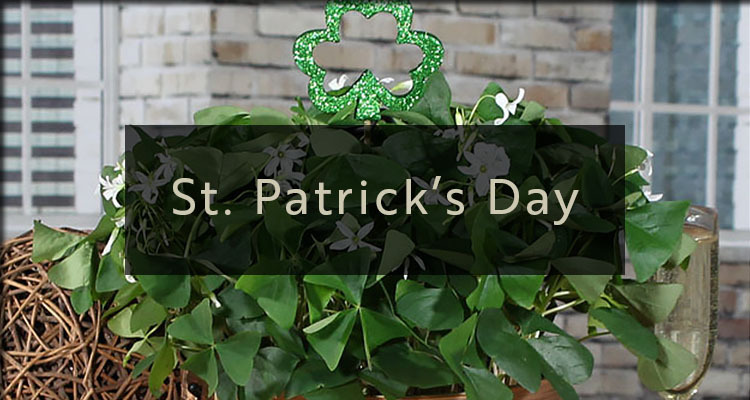 /product_images/uploaded_images/banner-stpatrick.jpg
