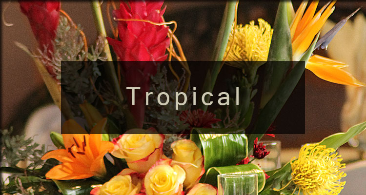 /product_images/uploaded_images/banner-tropical.jpg