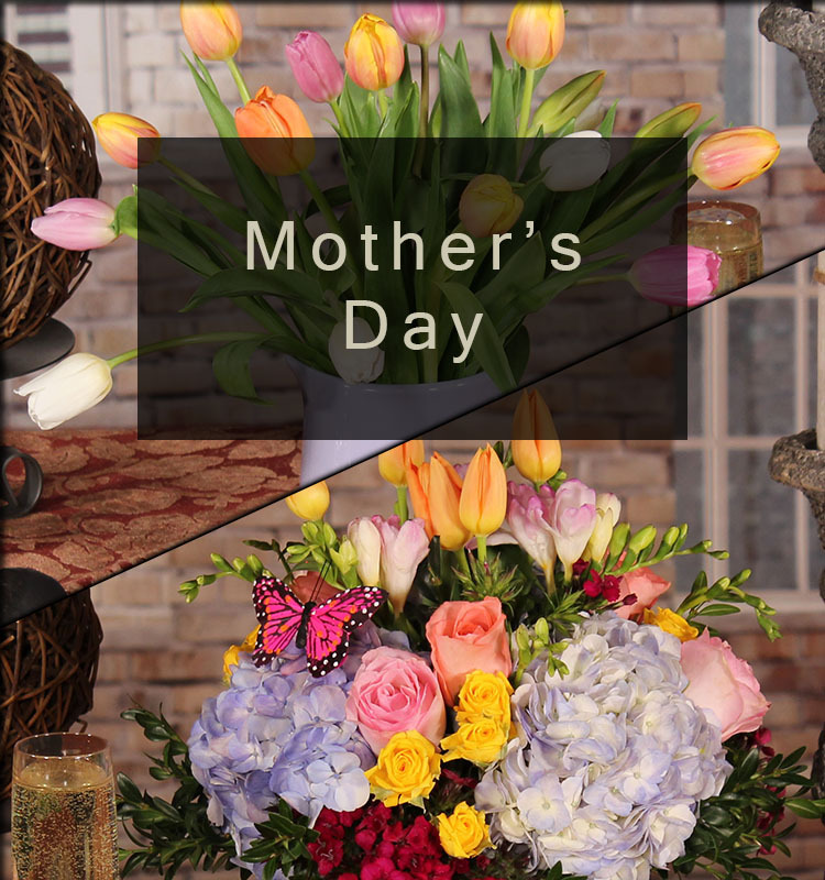 /product_images/uploaded_images/home-mday.jpg
